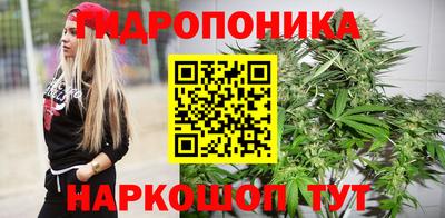 сатива Коммунар