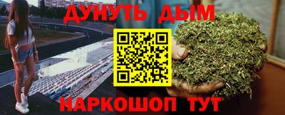 сатива Коммунар