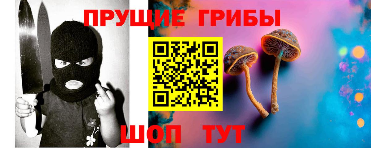 Псилоцибиновые грибы Psilocybe  Вход с VPN  Чита 